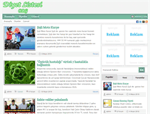 Tablet Screenshot of diyetlistesi.org